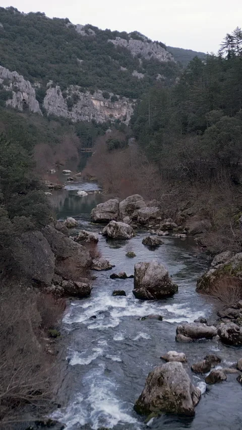 Drone following the course of the river between the forest trees and the rocky Stock Footage 278244050