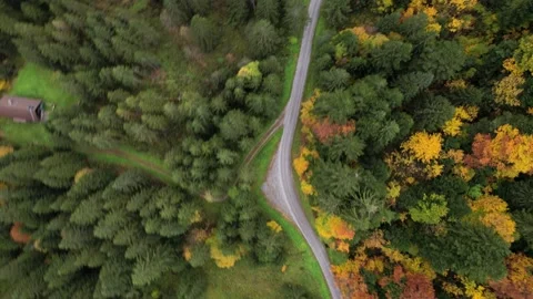 Drone following an empty winding mountain road through colorful autumn forest Stock Footage 164413113