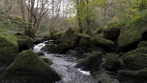 Drone Following the flow of the stream, Goit Stock, Yorkshire Stock Footage 93243267