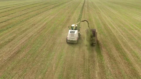 Drone following forage harvester loading truck in field Video stock 333182808