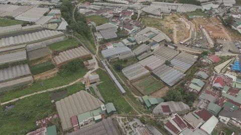 Drone following moving train in Da Lat, Vietnam, daytime aerial view Video stock 319909559