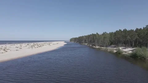Drone following a river between pine tree forest and sand dune Stock Footage 159981971