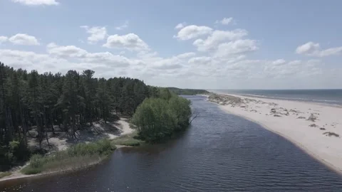Drone following a river between pine tree forest and sand dune Stock Footage 159981992