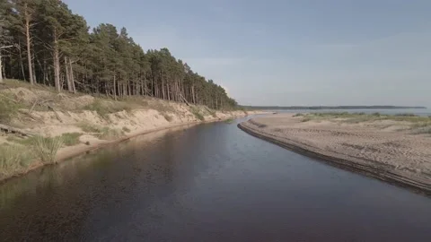 Drone following a river between pine tree forest and sand dune Stock Footage 159982012