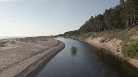 Drone following a river between pine tree forest and sand dune Stock Footage 159982042
