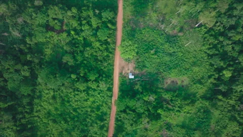 Drone following road between forests, Ouesso, Congo Stock Footage 331999875