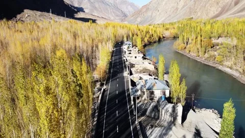 Drone following a road cutting through blazing yellow trees. Stock Footage 310781978