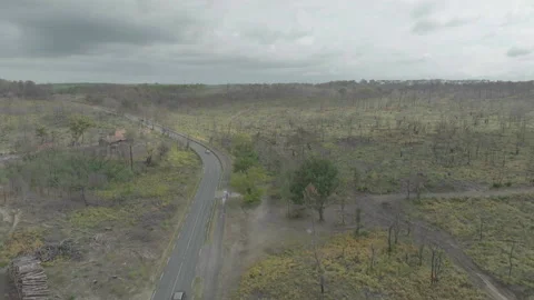 Drone following road through deforested forest, France Видео 333108780