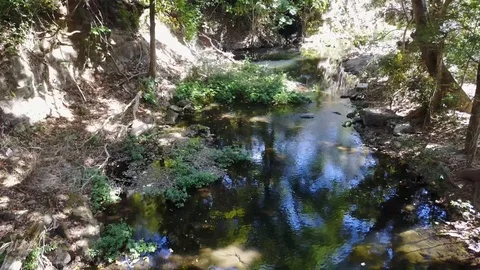 Drone following stream Lomas de Barbudal Biological Reserve Stock Footage 90924475