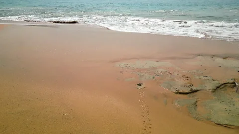 Drone following a tiny turtle released from the nest to the sea in Sao Stock Footage 267825731