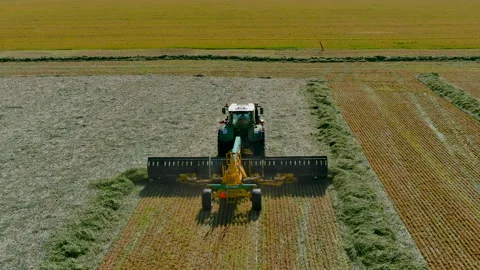 Drone Following Tractor Working in Corn Field 4K Vidéo 239092694