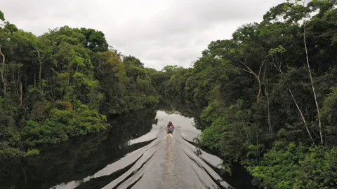 Drone follows canoe down amazon river, clip 2 Stock Footage 232731295