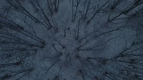 Drone follows man through a dense forest in winter conditions Stock Footage 306300886