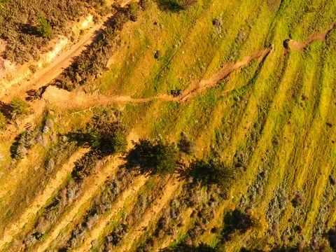 Drone follows mountain biker hitting jump on downhill track at sunset Video stock 79962753