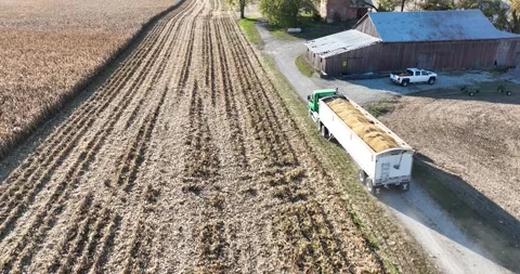 Drone follows tractor trailer with corn Video stock 296660882