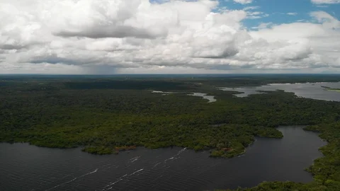 Drone footag flying down over the rio negro near manaus close to the Video stock 111580329