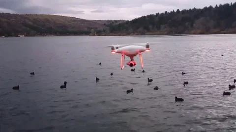 Drone Stock Footage 83875620