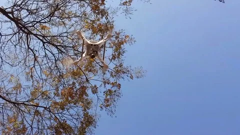 Drone Stock Footage 83876968