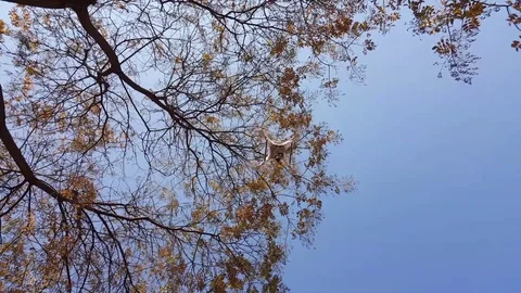 Drone Stock Footage 83876996