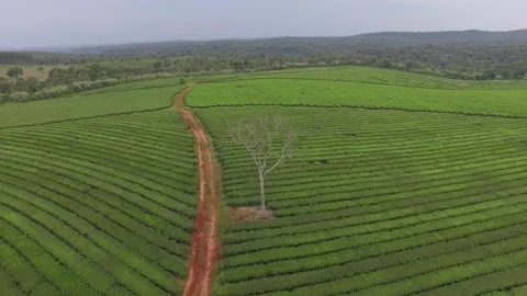 Drone Stock Footage 151697133