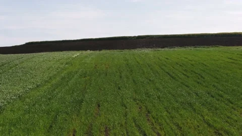 DRONE Stock Footage 199288852