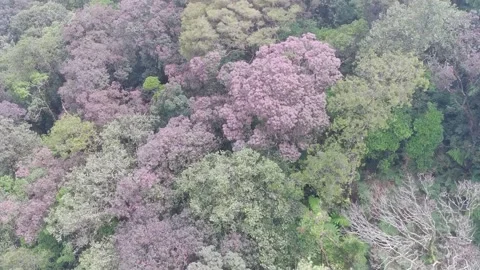 Drone Video stock 239971964