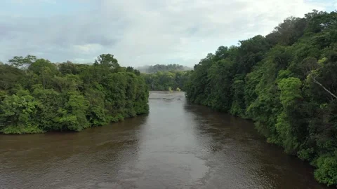 Drone Footage of Approuage River with Clouds, French Guiana Stock Footage 313494795