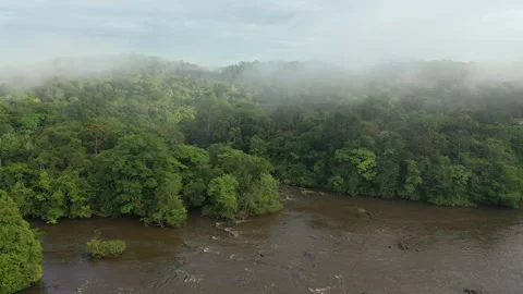 Drone Footage of Approuage River with Clouds, French Guiana Stock Footage 313494807
