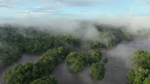Drone Footage of Approuage River with Clouds, French Guiana Stock Footage 313494812