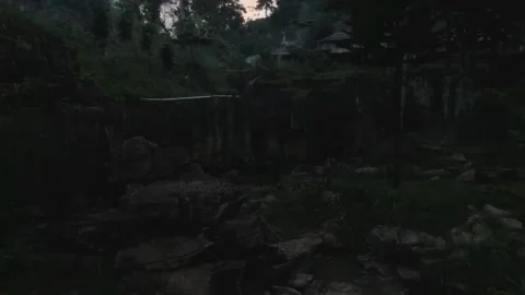 Drone footage backwards in the forest at dusk Stock Footage 236347942