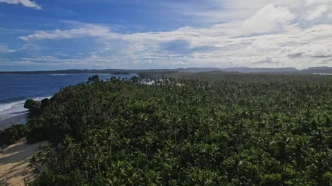Drone Footage of Beaches in the philippines Stock Footage 243019505