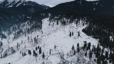 Drone footage of beautiful contrast between roofs and pure white snow. Stock Footage 311794524