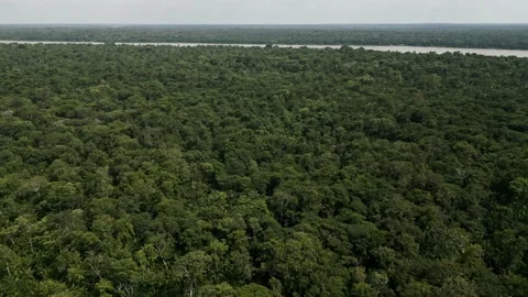 Drone Footage of Belém – Amazon rainforest and River Видео 314332294
