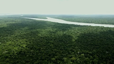 Drone Footage of Belém – Amazon rainforest and River Видео 314332299