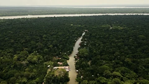Drone Footage of Belém – Amazon River, rainforest and Combu Island Видео 314332308