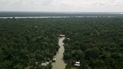 Drone Footage of Belém – Amazon River, Rainfotrest and Combu Island Видео 314332334