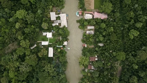 Drone Footage of Belém – Top view of a beautiful river at Combu Island Видео 314332355