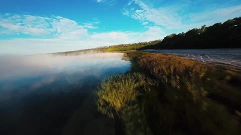 Drone footage captures tranquil lake with morning mist and forested banks Stock Footage 340903899