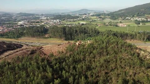 Drone footage capturing an excavator operating in Forest Vidéo 336327484
