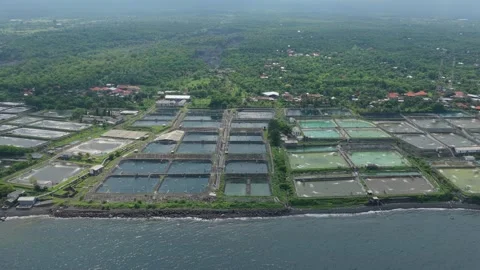 Drone footage capturing an extensive network of rectangular aquaculture ponds Stockbeeldmateriaal 328567174