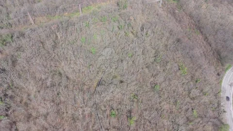 Drone footage capturing forest canopy with textures and natural scenery Stock Footage 332773005