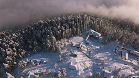 Drone footage capturing Gulmarg's pine trees looking surreal under winter light. Stock Footage 311947007