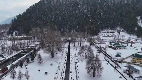 Drone footage capturing the raw winter beauty of Verinag Park with flowing Stock Footage 311129453