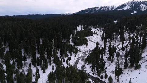 Drone footage capturing a sparkling stream cutting through snow-covered meadows Stock Footage 311793746
