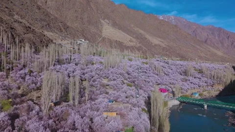 Drone footage capturing springtime in Kargil with magical play of light and Stock Footage 311502969