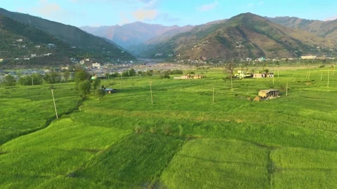 Drone footage capturing the stunning contrast of vibrant green fields surrounded Stock Footage 311793379