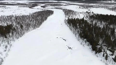 Drone footage capturing a vast snowy forest landscape dotted with coniferous Stock Footage 330376752