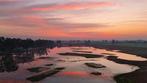 Drone footage capturing the warm embrace of sunrise over green wetlands. Stock Footage 310937489