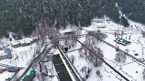 Drone footage capturing winter’s quiet beauty with pine trees cloaked in snow Stock Footage 311129210