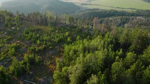 Drone footage of cliffs in the Czech forests at sunset Stock Footage 311878061